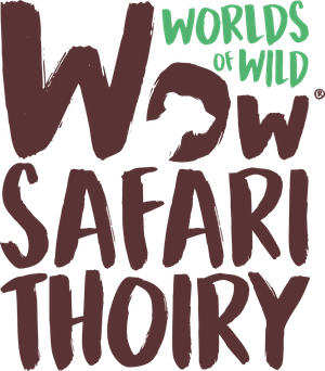 Wow Safari Thoiry